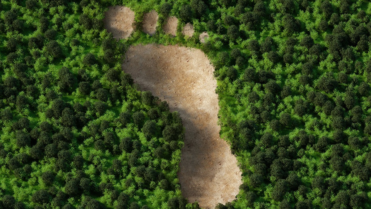 Achats et gestion des fournisseurs | Protection du climat et efficacité énergétique