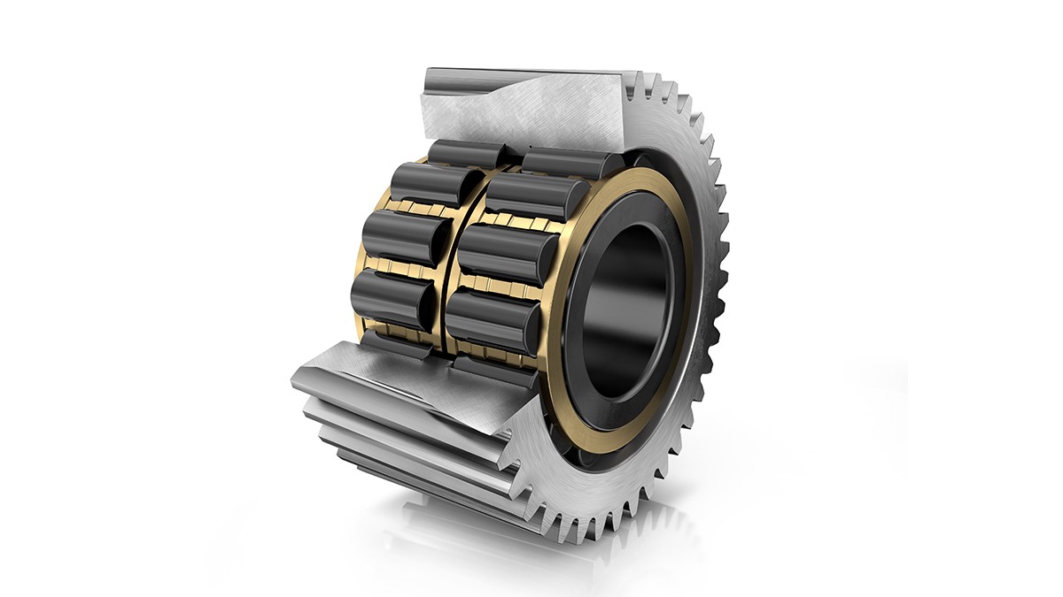 Roulement à rouleaux cylindriques High Capacity X-life FAG (palier direct)