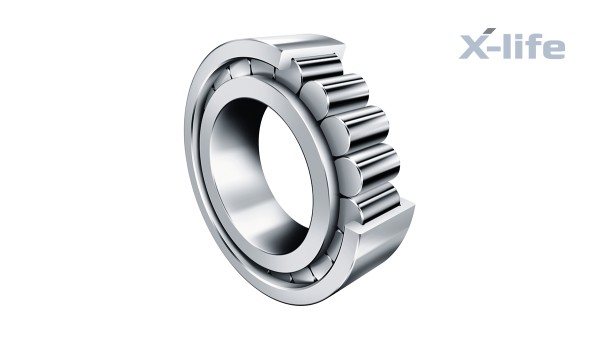 Roulements et paliers lisses Schaeffler : Roulements à rouleaux cylindriques jointifs