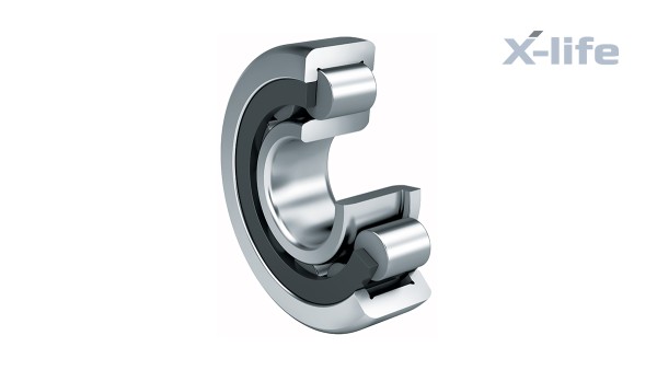 Roulements et paliers lisses Schaeffler : Roulements à rouleaux cylindriques avec cage